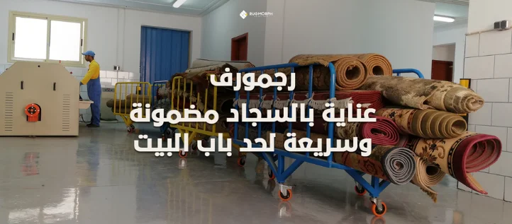 من 35 لـ 250 أوردر يومياً
